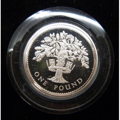 7193 - A Royal Mint 1984-1987 UK £1 Silver Proof Piedfort collection, cased with certificate