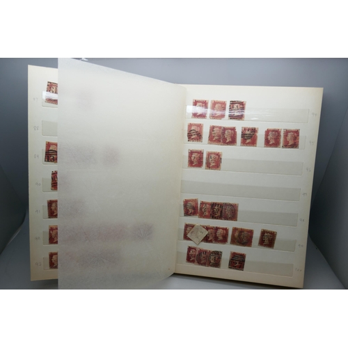 2173 - Stamps; an album containing duplicated stock of Great Britain penny plates