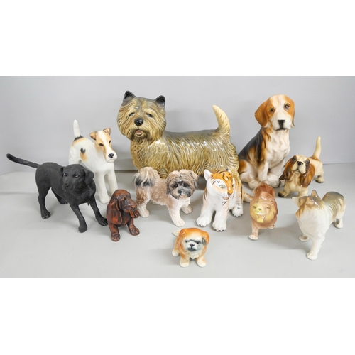 2277 - A collection of porcelain and china dog figures, includes Beswick Wired Hair Terrier Ch. Talavera Ro... 