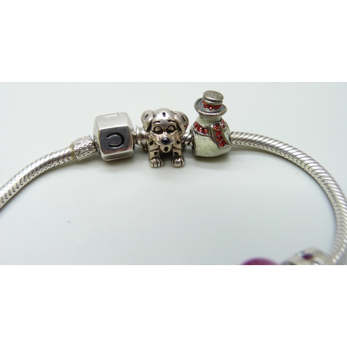 7042 - A silver Chamilia bracelet with nine Chamilia charms, 38g, boxed