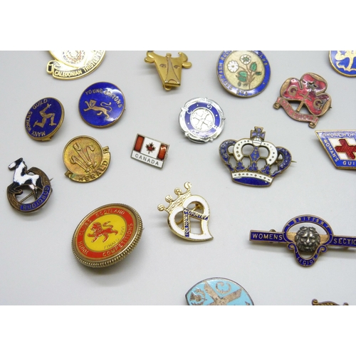 7113 - A collection of badges including RAF