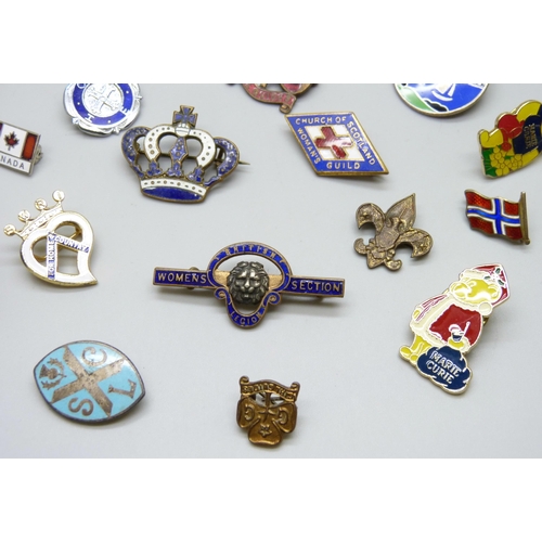 7113 - A collection of badges including RAF