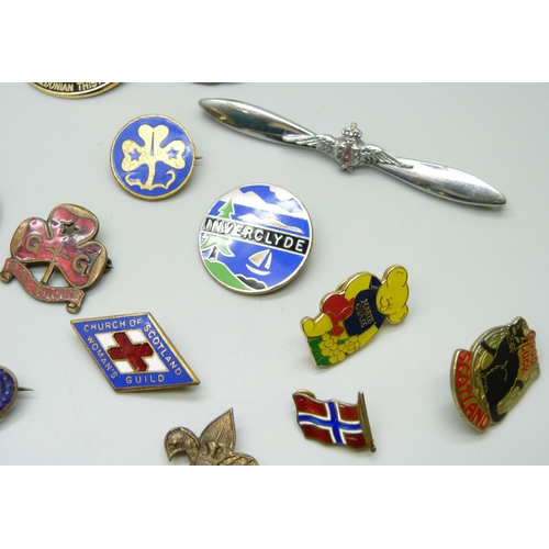 7113 - A collection of badges including RAF