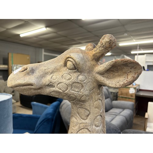 3160 - A large giraffe head