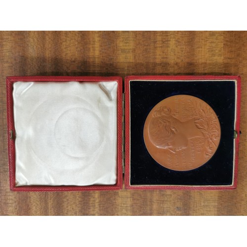 7207 - A Queen Victoria Royal commemorative bronze medallion, cased