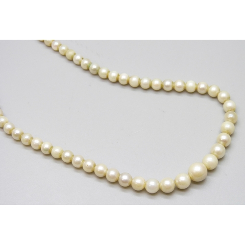 7116 - A string of pearls and mother of pearl beads with silver clasp, 15g, 44cm