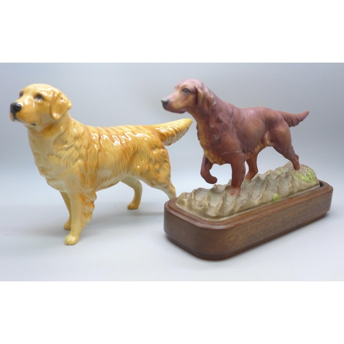 2046 - A Royal Worcester model of an Irish setter, a/f, and a Beswick model of a golden retriever