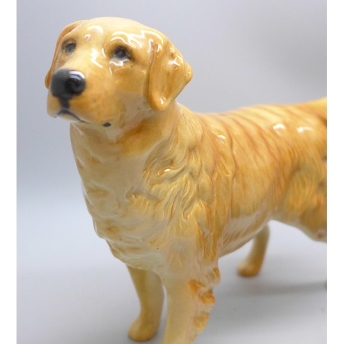 2046 - A Royal Worcester model of an Irish setter, a/f, and a Beswick model of a golden retriever