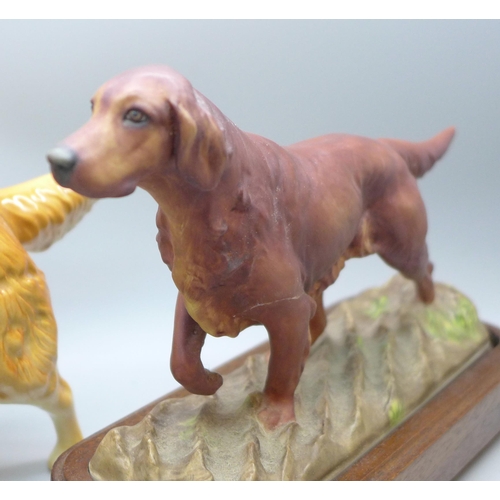 2046 - A Royal Worcester model of an Irish setter, a/f, and a Beswick model of a golden retriever