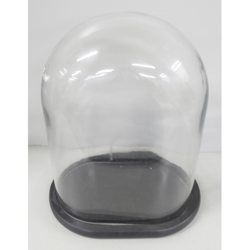 2222 - A glass clock display dome with oval shaped base, 32cm tall, 22cm wide *THIS LOT IS NOT AVAILABLE FO... 