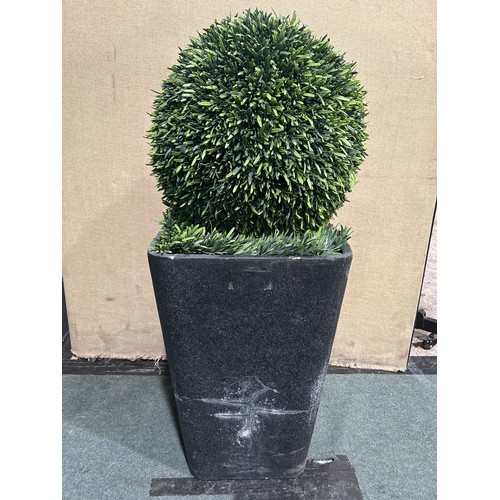 6013B - Rosemary topiary ball tree, Original RRP £119.99 + VAT (351-607) *This lot is subject to VAT