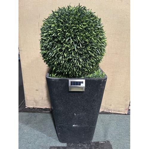 6013A - Rosemary topiary ball tree, Original RRP £119.99 + VAT (351-606) *This lot is subject to VAT