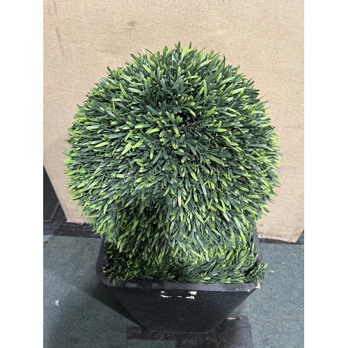 6013A - Rosemary topiary ball tree, Original RRP £119.99 + VAT (351-606) *This lot is subject to VAT