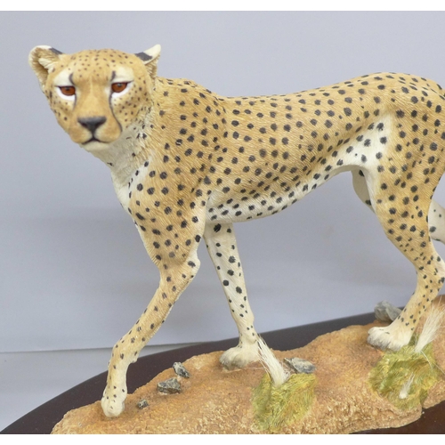 2001 - A Brooks & Bentley model of a puma and a Country Artists model of a cheetah, puma a/f