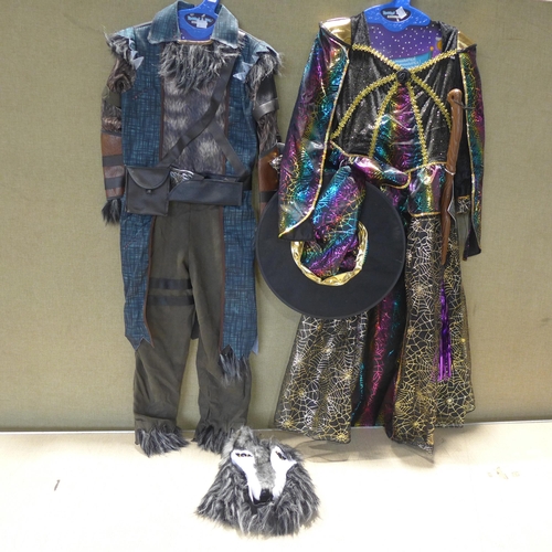 6022 - Two children's costumes, witch and werewolf (351-89,90) *This lot is subject to VAT