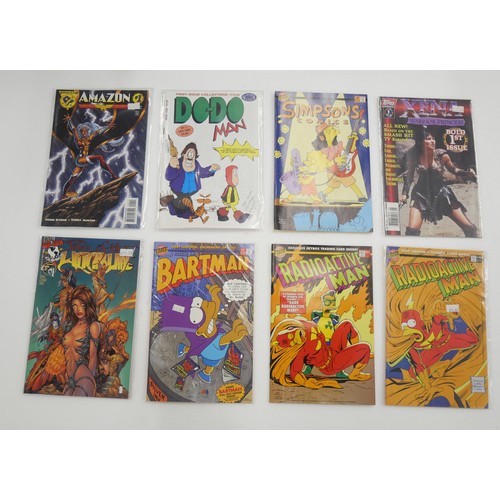 2010 - A collection of comics, Marvel Independence Day, Bongo Simpsons, Topps Xena and Top Cow, (33)