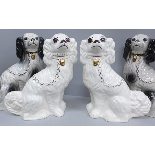 2012 - Three pairs of Staffordshire spaniels