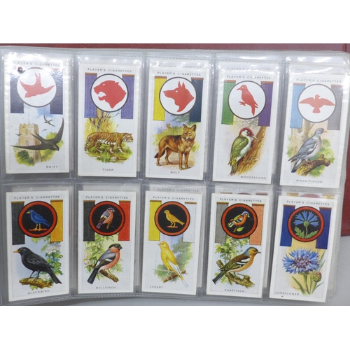 2065 - A large collection of cigarette cards including full sets, comprising of Boy Scouts, Boy Scout and G... 