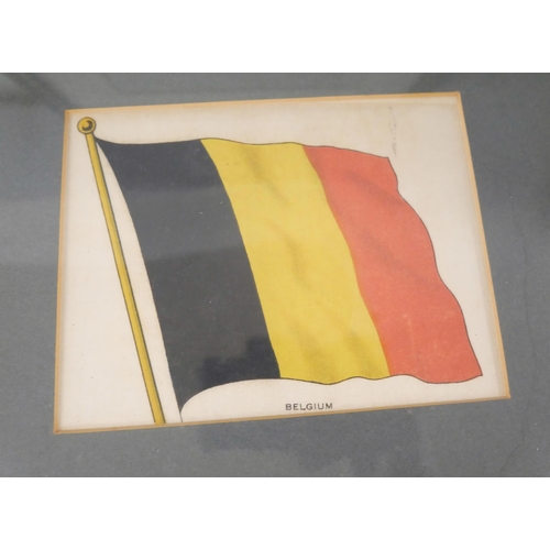 2262 - Three large cigarette silks, 18th Hussars, Belgium flag and Standard flag, plus five other prints **... 