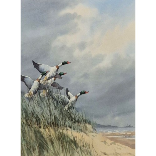 361 - Cecil Hodgkinson (1895-1979), Shelduck over the Norfolk coast and Pink-feet over Crowland Marshes in... 