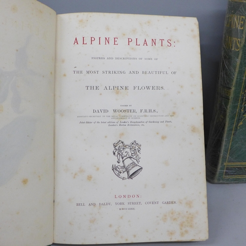 2024 - Two books, first editions, Alpine Plants by David Wooster published by Bell and Daldy, 1872 and 1874