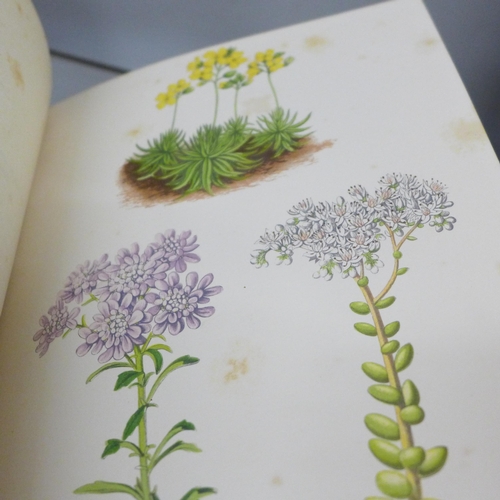 2024 - Two books, first editions, Alpine Plants by David Wooster published by Bell and Daldy, 1872 and 1874