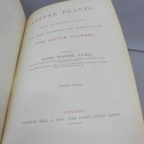 2024 - Two books, first editions, Alpine Plants by David Wooster published by Bell and Daldy, 1872 and 1874