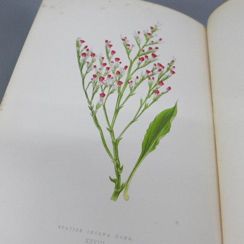 2024 - Two books, first editions, Alpine Plants by David Wooster published by Bell and Daldy, 1872 and 1874