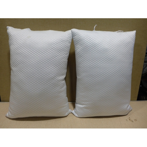 6205 - Two Hotel Grand pillow summer/winter pillows (353-310) *This lot is subject to VAT