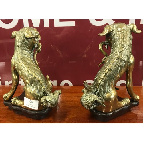 106 - A pair of Chinese Quing Dynasty gilt bronze dogs of fo, on Hongmu stands