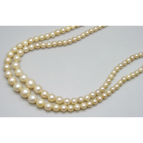 7117 - A double row graduated pearl necklace with a yellow metal pearl set clasp, 26g, shortest string 38cm