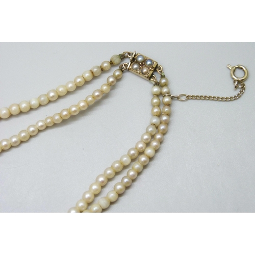 7117 - A double row graduated pearl necklace with a yellow metal pearl set clasp, 26g, shortest string 38cm