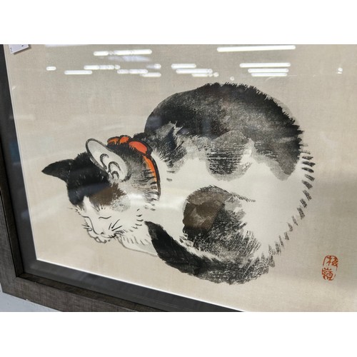 3104A - A framed print of a sleeping cat