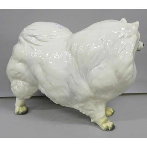 2008 - A large Geobel figure of a Pomeranian dog, 28.5cm length