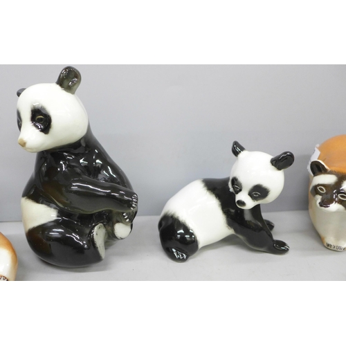 2059 - A set of three Lomonosov raccoons and a set of three Lomonosov pandas