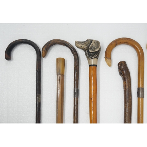 2309 - Six walking sticks, one with dog's head top