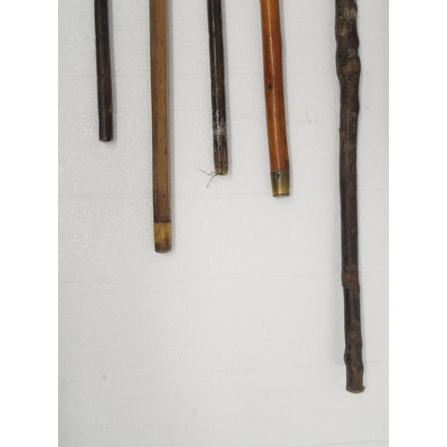 2309 - Six walking sticks, one with dog's head top