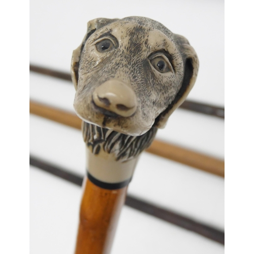 2309 - Six walking sticks, one with dog's head top