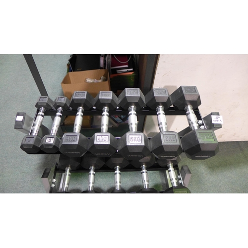 6061A - Weider dumbell kit with rack, original RRP £289.99 + VAT (354-277) *This lot is subject to VAT