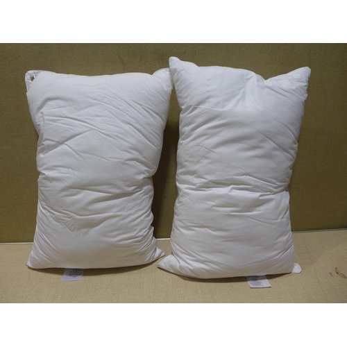 6320 - Two Soft as Down pillows   (354-435) *This lot is subject to VAT