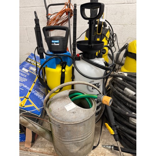 5197 - Two garden pumps - a Gloria Auto pump and a race line with a watering can