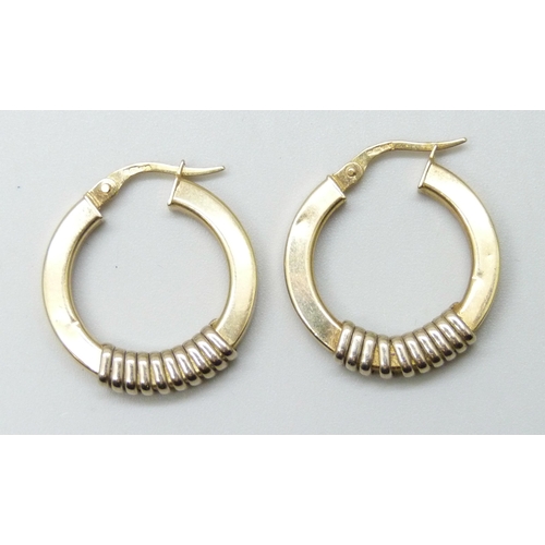 7036 - A pair of 9ct gold hoop earrings, some dents, 3.7g, 2.1cm