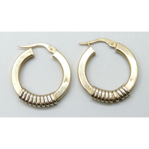 7036 - A pair of 9ct gold hoop earrings, some dents, 3.7g, 2.1cm