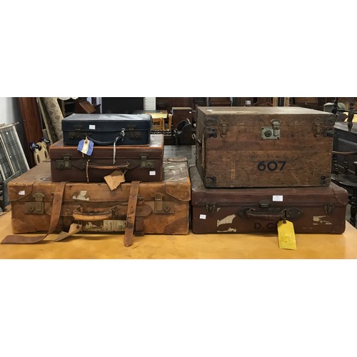Lot 257       