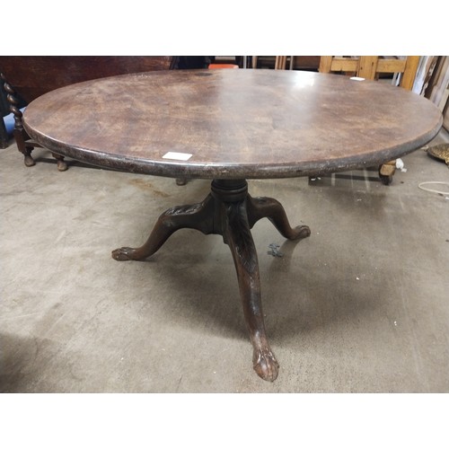 Lot 247       