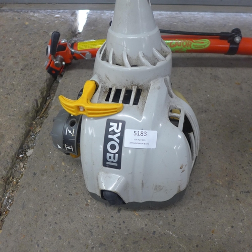 5183 - An assortment of garden tools including a MacAllister MBCP254 strimmer, a Ryobi RLT30CES petrol stri... 