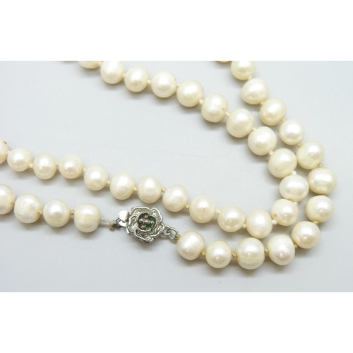 7036 - A cultured pearl necklace