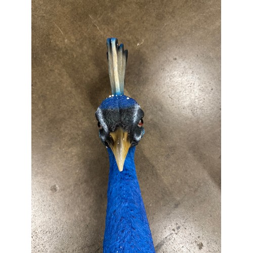 3017 - A wall mounted bust of a peacock