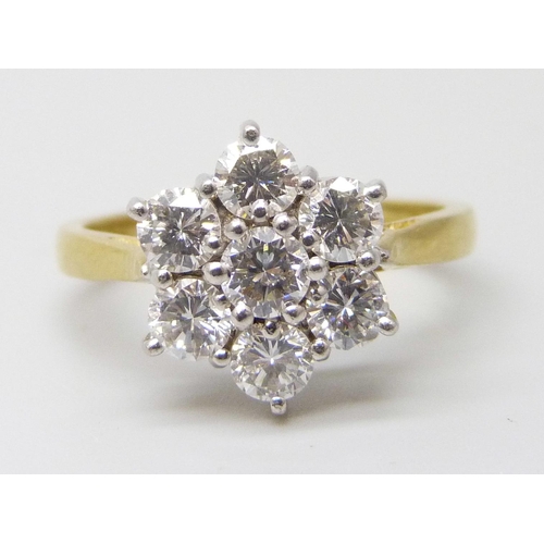 Lot 7031      