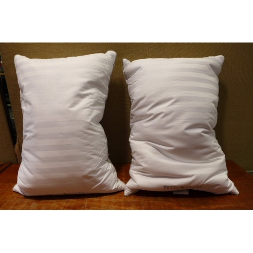 6205 - Two Hotel Grand feather/down pillows (359-251) *This lot is subject to VAT